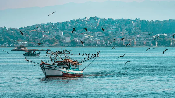 Barco Pesqueiro Cercado Por Aves Marinhas Baía Guanabara Rio Janeiro — Fotografia de Stock