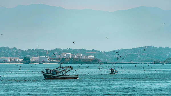 Fischerboot Umgeben Von Seevögeln Der Guanabara Bucht Rio Janeiro Brasilien — Stockfoto