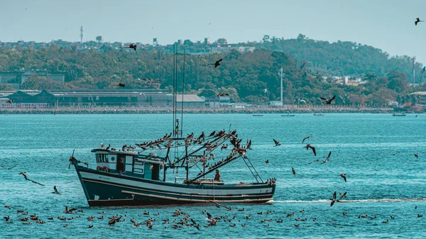 Fischerboot Umgeben Von Seevögeln Der Guanabara Bucht Rio Janeiro Brasilien — Stockfoto