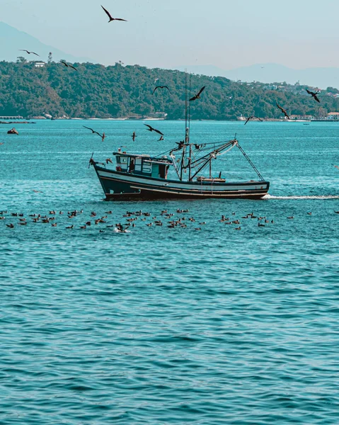 Barco Pesqueiro Cercado Por Aves Marinhas Baía Guanabara Rio Janeiro — Fotografia de Stock