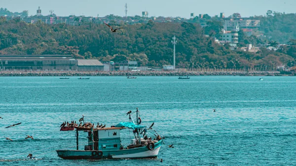 Bateau Pêche Entouré Oiseaux Marins Dans Baie Guanabara Rio Janeiro — Photo