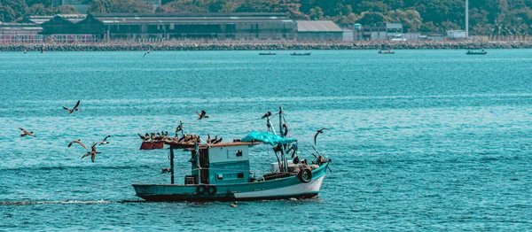 Bateau Pêche Entouré Oiseaux Marins Dans Baie Guanabara Rio Janeiro — Photo