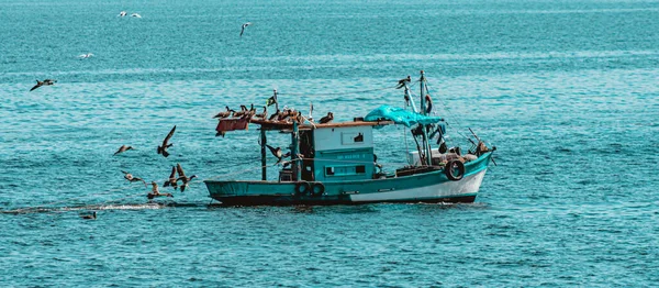 Fischerboot Umgeben Von Seevögeln Der Guanabara Bucht Rio Janeiro Brasilien — Stockfoto