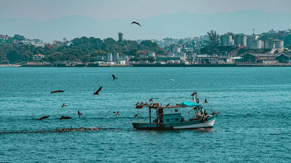 Αλιευτικό Σκάφος Που Περιβάλλεται Από Θαλασσοπούλια Στον Κόλπο Guanabara Ρίο — Φωτογραφία Αρχείου