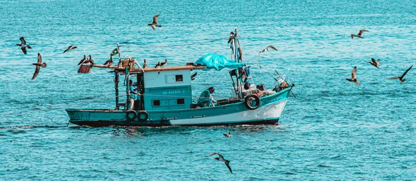 在巴西里约热内卢瓜那巴拉湾被海鸟包围的渔船 手工捕鱼是由传统渔民或在家庭经济体系中自主进行的 — 图库照片