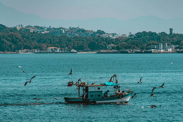 Tengeri Madarakkal Körülvett Halászhajó Guanabara Bay Ben Rio Janeiro Brazília — Stock Fotó