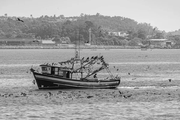 Bateau Pêche Entouré Oiseaux Marins Dans Baie Guanabara Rio Janeiro — Photo