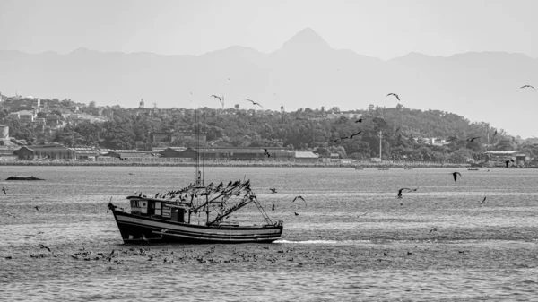 Vissersboot Omringd Door Zeevogels Guanabara Bay Rio Janeiro Brazilië Ambachtelijke — Stockfoto