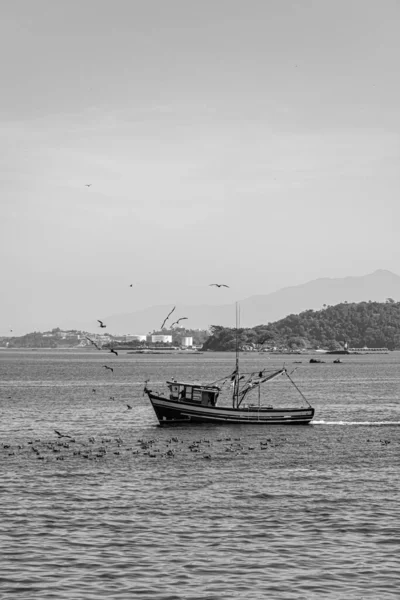 Bateau Pêche Entouré Oiseaux Marins Dans Baie Guanabara Rio Janeiro — Photo