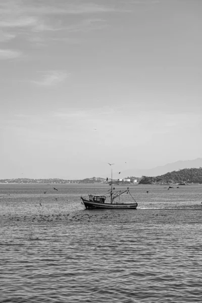 Barco Pesqueiro Cercado Por Aves Marinhas Baía Guanabara Rio Janeiro — Fotografia de Stock