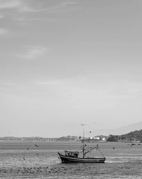 Fishing Boat Surrounded Seabirds Guanabara Bay Rio Janeiro Brazil Artisanal — Stock Photo, Image