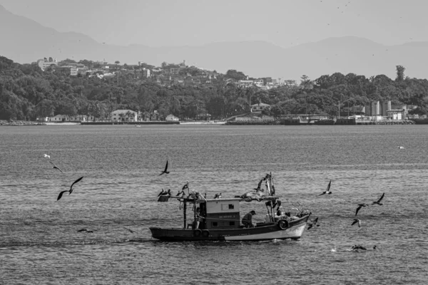 ブラジルのリオデジャネイロ州グアナバラ湾の海鳥に囲まれた漁船 伝統的な漁師や家族経済体制によって自律的に行われます — ストック写真