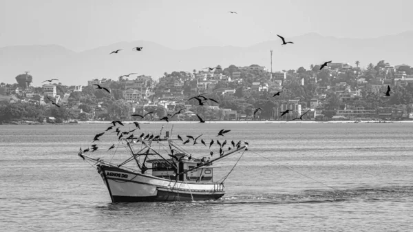 Bateau Pêche Entouré Oiseaux Marins Dans Baie Guanabara Rio Janeiro — Photo