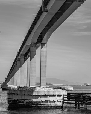 Başkan Costa ve Silva Köprüsü, Guanabara Körfezi üzerindeki Rio-Niteroi Köprüsü olarak bilinir. Brezilya 'daki en uzun köprüdür..