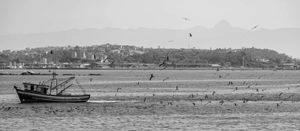 Rio Janeiro Brasilien Circa 2021 Fischerboot Tagsüber Von Seevögeln Umgeben — Stockfoto