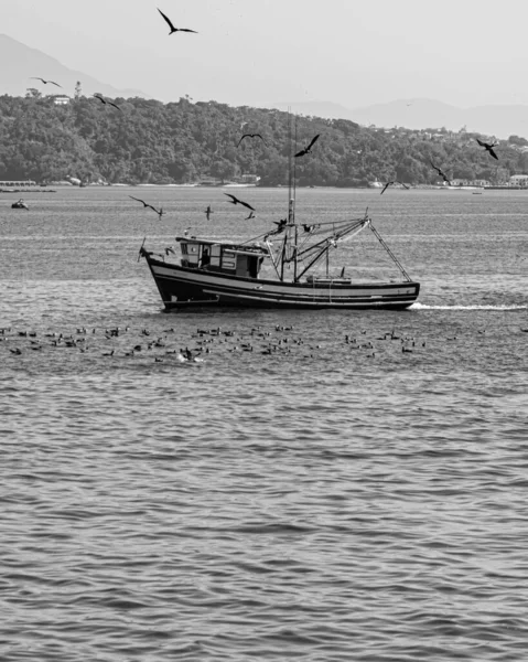 Rio Janeiro Brasilien Circa 2021 Fischerboot Tagsüber Von Seevögeln Umgeben — Stockfoto