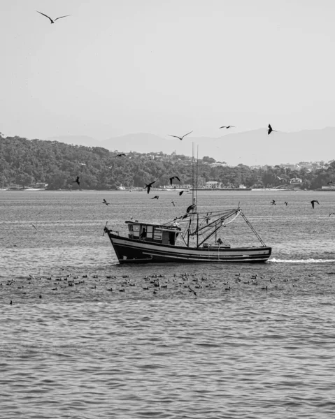 Rio Janeiro Brasilien Circa 2021 Fischerboot Tagsüber Von Seevögeln Umgeben — Stockfoto