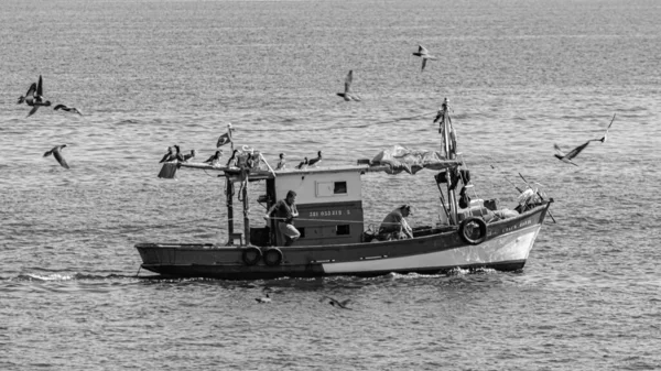 Rio Janeiro Brasilien Circa 2021 Fischerboot Tagsüber Von Seevögeln Umgeben — Stockfoto