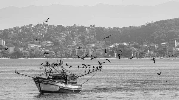 Rio Janeiro Brazylia Circa 2021 Łódź Rybacka Otoczona Ptakami Morskimi — Zdjęcie stockowe