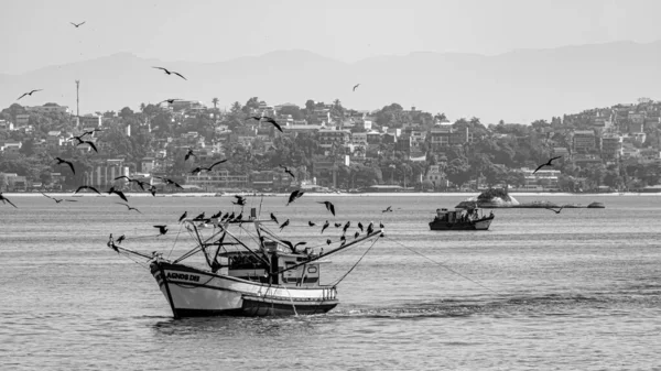 リオデジャネイロ ブラジル Circa 2021 グアナバラ湾 リオデジャネイロ ブラジル南東部で一日中海鳥に囲まれた漁船 — ストック写真