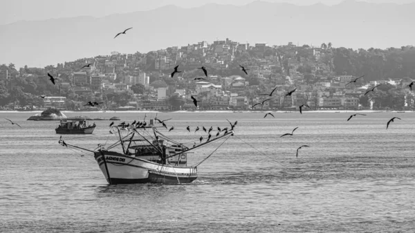 Rio Janeiro Brazylia Circa 2021 Łódź Rybacka Otoczona Ptakami Morskimi — Zdjęcie stockowe