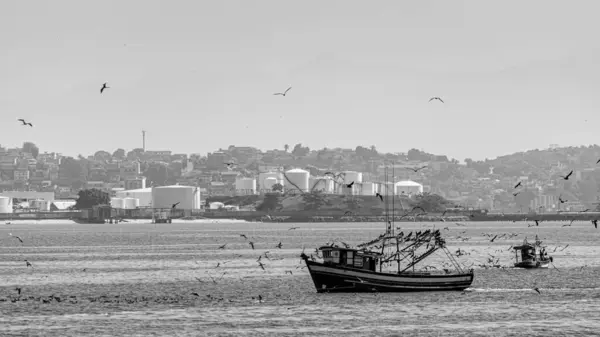 巴西里约热内卢 Circa 2021 白天在巴西东南部里约热内卢瓜纳巴拉湾被海鸟包围的渔船 — 图库照片