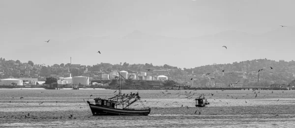 Rio Janeiro Brasilien Circa 2021 Fischerboot Tagsüber Von Seevögeln Umgeben — Stockfoto