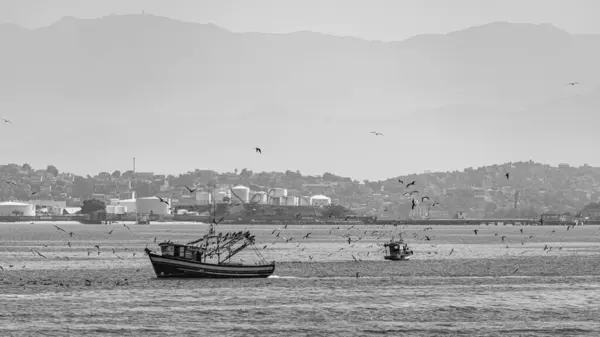 Rio Janeiro Brasilien Circa 2021 Fischerboot Tagsüber Von Seevögeln Umgeben — Stockfoto