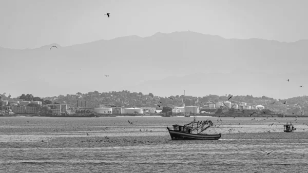 Rio Janeiro Brezilya Circa 2021 Guanabara Körfezi Rio Janeiro Güneydoğu — Stok fotoğraf