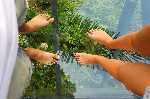 Erkek ve dişi bacakları yeşil tropikal ağaçların üzerinde şeffaf bir köprü üzerinde duruyor. Erkek ve kadın ormanların üzerinde ayaklarının fotoğrafını çekiyorlar. Cam köprüde mutlu bir çift. Aşk, seyahat, birlikte tatil.