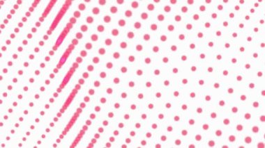 Puantiyeli desen. Beyaz arkaplandaki soyut pembe noktalar. Düğün davetiyesi ve tebrik kartı geçmişi