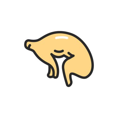 Tavşan eti renk çizgisi simgesi. Web sayfası, mobil uygulama, tanıtım için resim grafiği.