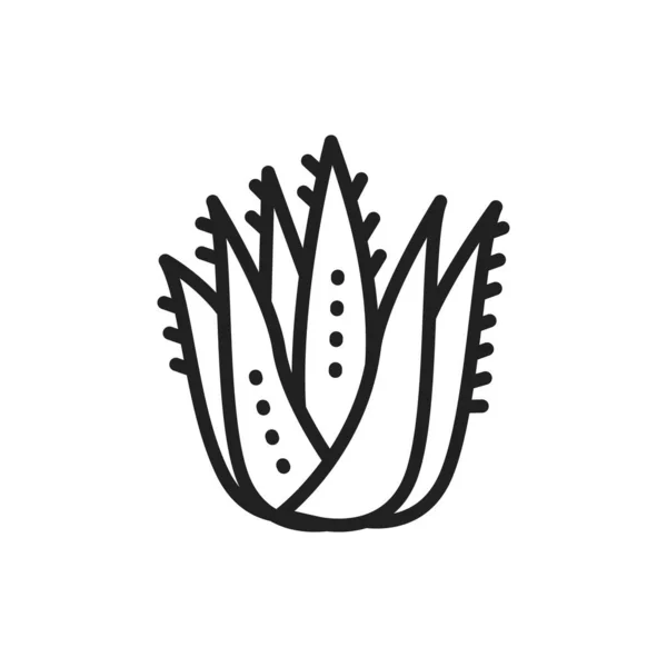 Aloe plante ligne noire icône. Illustration vectorielle — Image vectorielle