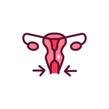 Özel plastik kadın üreme sistemi renk çizgisi simgesi. Web sayfası için pictogram özeti.