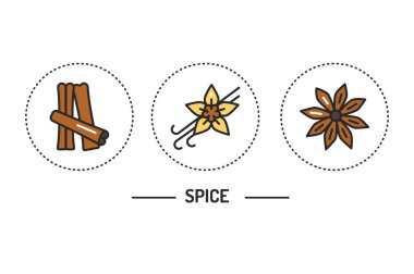 Baharat renk çizgisi simgeleri konsepti. Vektör illüstrasyonu.