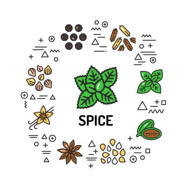 Baharat web afişi. Beyaz arkaplanda doğrusal simgeleri olan bilgi grafikleri. Yaratıcı fikir konsepti. İzole edilmiş dış hat renk çizelgesi