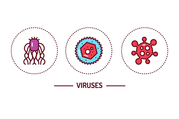 Tipos de virus Imágenes Vectoriales, Gráfico Vectorial de Tipos de ...