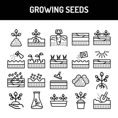 Büyüyen tohumlar renk çizgisi simgeleri. Web sayfası için piktogramlar, mobil uygulama, tanıtım. UI / UX / GUI tasarım ögesi. Düzenlenebilir vuruş.