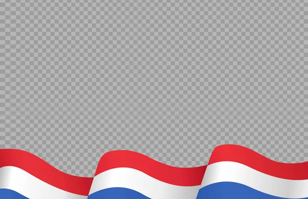 Acenando Bandeira Holanda Isolado Png Fundo Transparente Símbolo Holanda Modelo —  Vetores de Stock