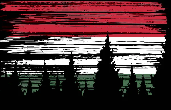 Macaristan Bayrağı Gece Karanlığında Gökyüzüne Fırça Darbesiyle Boyanmış Macaristan Sembolleri — Stok Vektör
