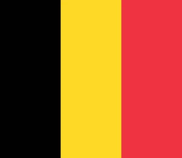 Bélgica Color Forma Estándar Símbolos Bandera Plantilla Bélgica Tarjeta Publicidad — Vector de stock