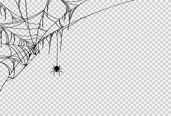 Fond Fête Halloween Avec Araignée Suspendue Des Toiles Araignée Isolées — Image vectorielle