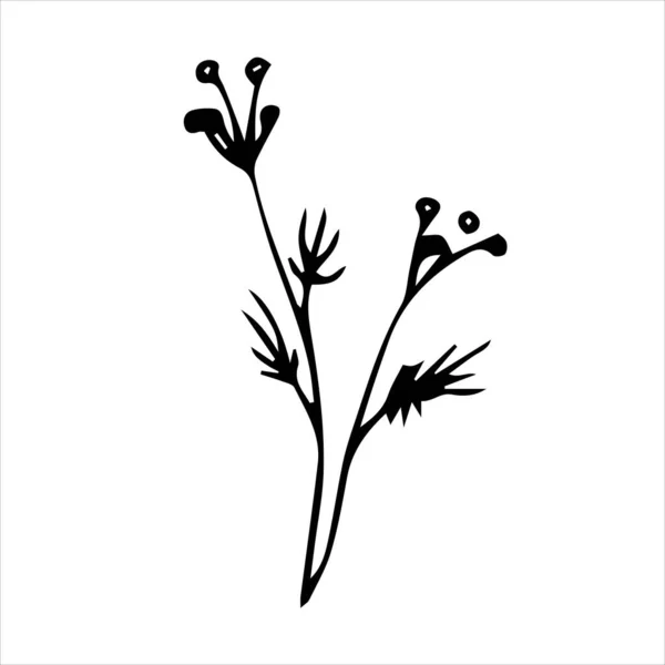 Yapraklı Bahar Dalı Karalama Stilinde Çiçek Vektör Nesnesi Çiçek Çizimi — Stok Vektör