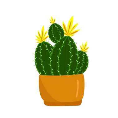 Prickly green cactus blooms with yellow flowers in a brown pot, tropical plant, home flowers in cartoon style, vector object, hand draw, isolate white background.