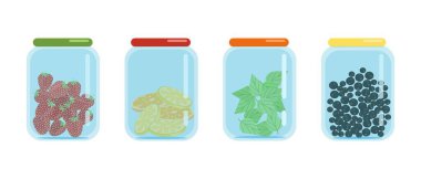 Glass jars closed with lids filled with dried slices of lemons and oranges, black currants and strawberries, dried fruit blanks, vector illustration in flat style, isolate, cartoon