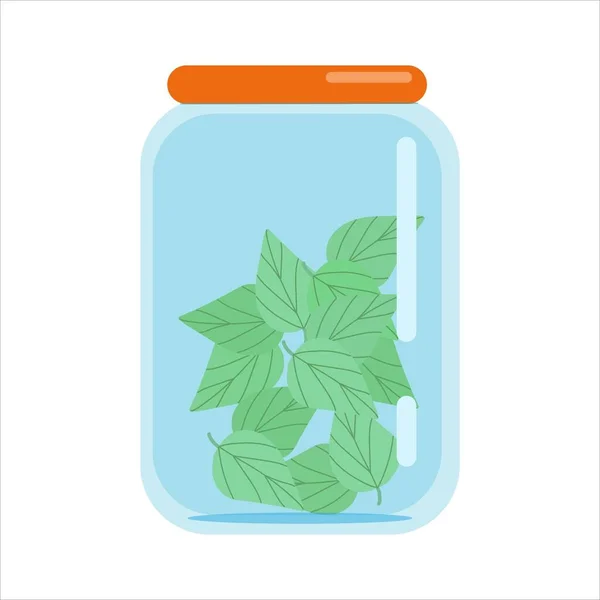 Feuilles de menthe dans un bocal en verre avec couvercle fermé, blancs d'herbes séchées, illustration vectorielle à plat, isoler, dessin animé — Image vectorielle