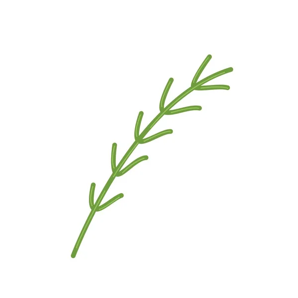 Sprig di rosmarino fresco, erbe aromatiche profumate per cucinare, clipart vettoriale in stile piatto, isolato su bianco — Vettoriale Stock