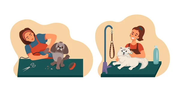 Pflegeset für Haustiere, Pfleger waschen gepflegte Hunde, Vektor-Sammlung von Illustrationen im flachen Stil — Stockvektor