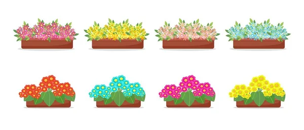Blumen in Töpfen im flachen Stil Set, große Sammlung von Frühlingsblumen in Boxen, Vektoren isoliert lizenzfreie Stockvektoren