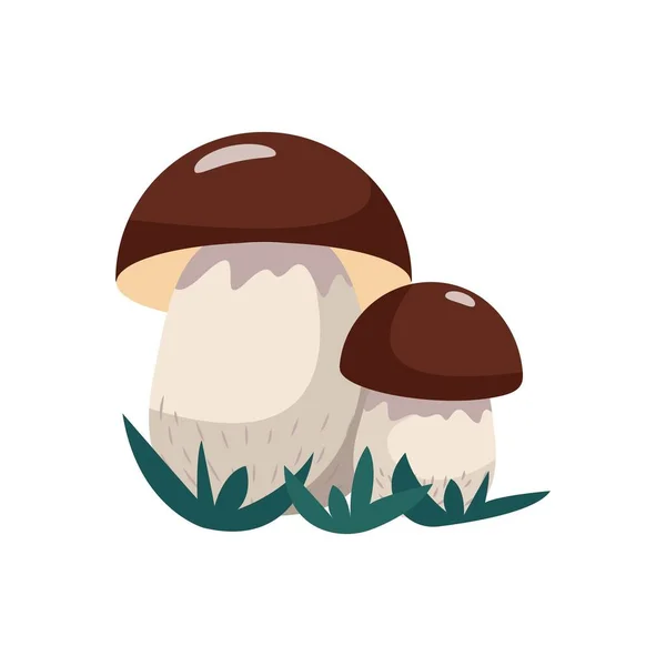 扁平花序蘑菇，矢量图解，分离 — 图库矢量图片